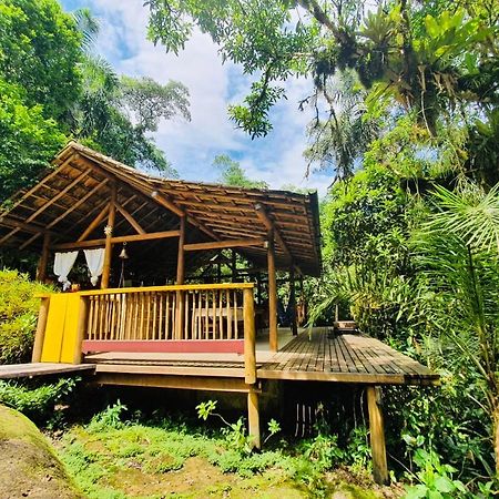 Eco Chales Caminho Das Aguas Barra Grande  ภายนอก รูปภาพ