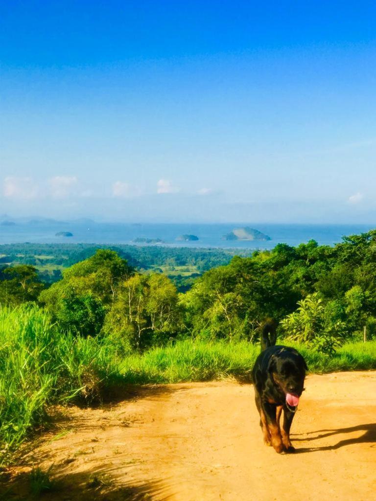 Eco Chales Caminho Das Aguas Barra Grande  ภายนอก รูปภาพ