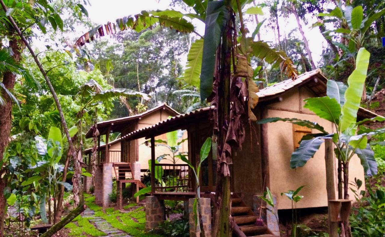 Eco Chales Caminho Das Aguas Barra Grande  ภายนอก รูปภาพ