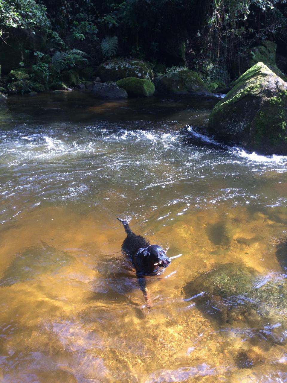 Eco Chales Caminho Das Aguas Barra Grande  ภายนอก รูปภาพ