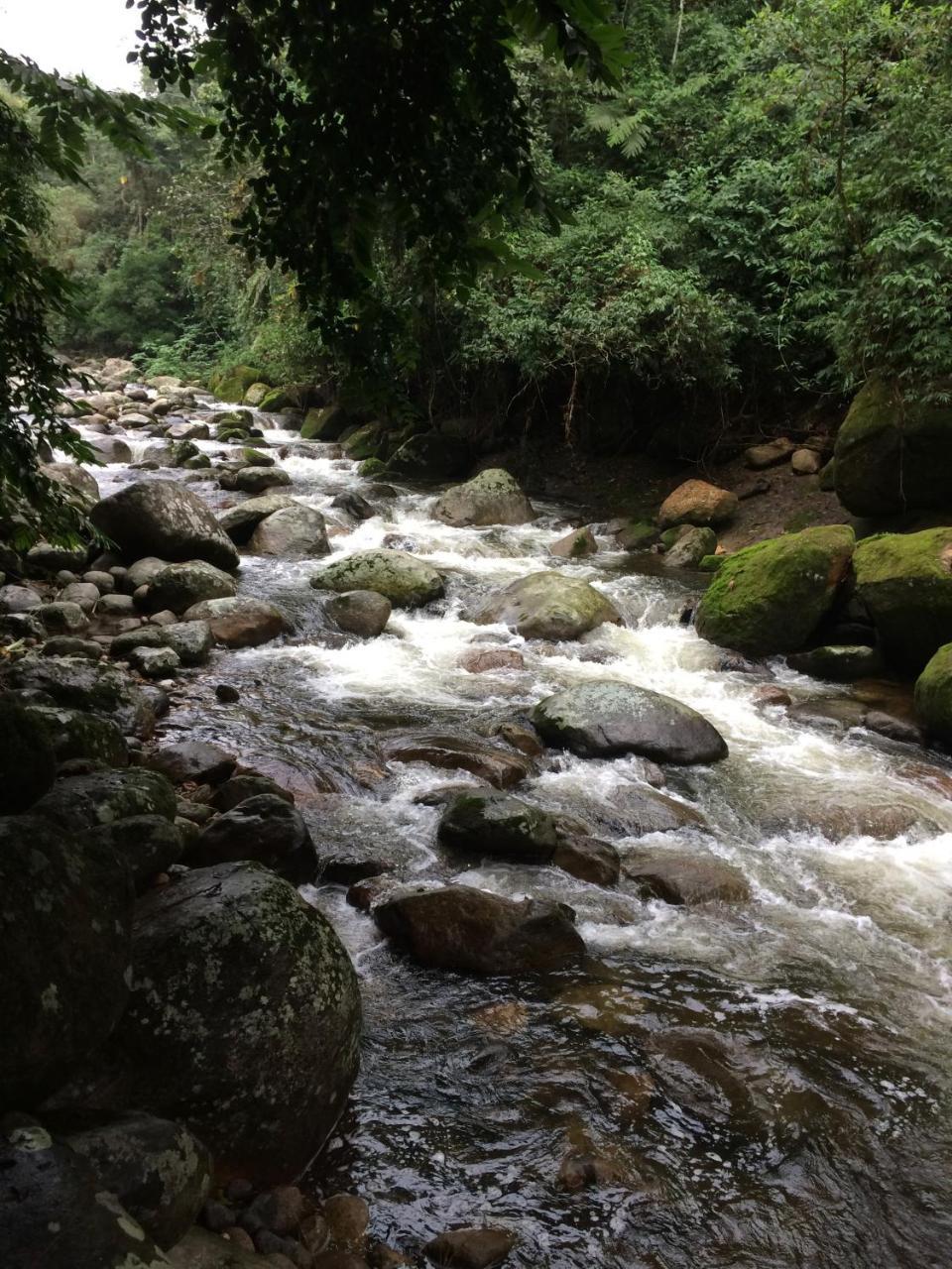 Eco Chales Caminho Das Aguas Barra Grande  ภายนอก รูปภาพ