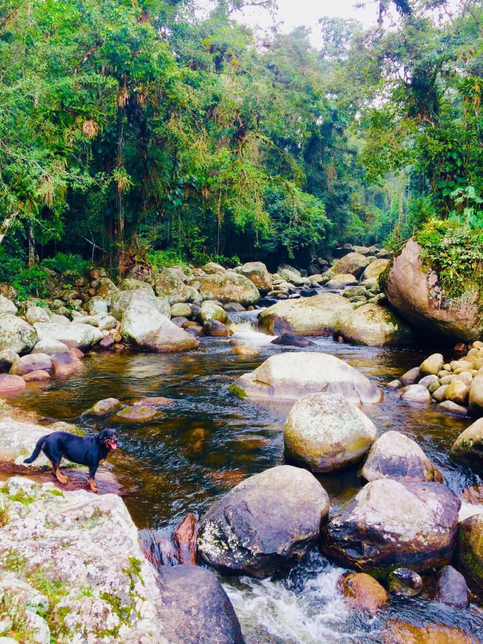Eco Chales Caminho Das Aguas Barra Grande  ภายนอก รูปภาพ